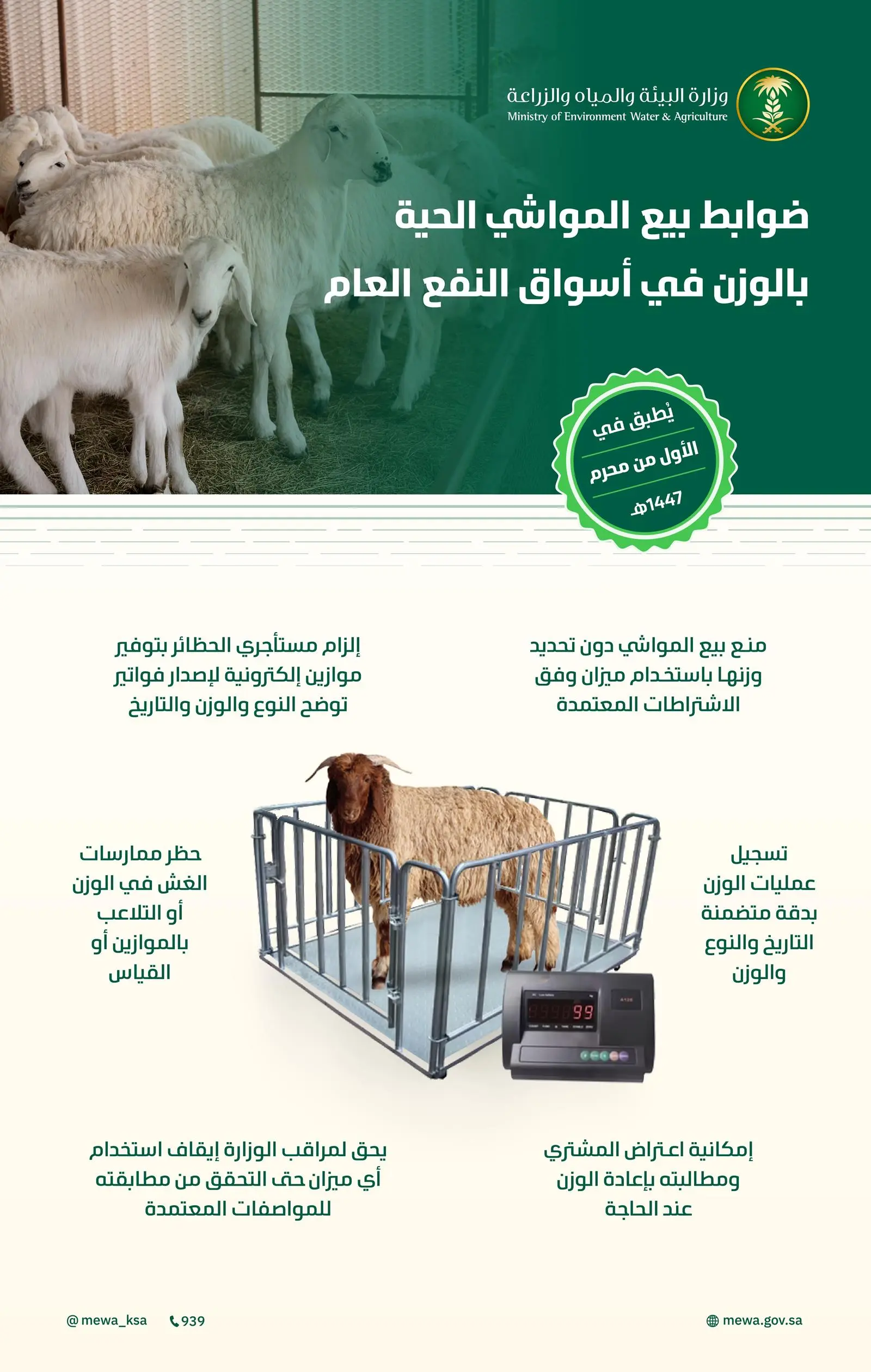 بدء تنفيذ ضوابط بيع المواشي الحية بالوزن يوم الخميس بدء تنفيذ ضوابط بيع المواشي الحية بالوزن يوم الخميس