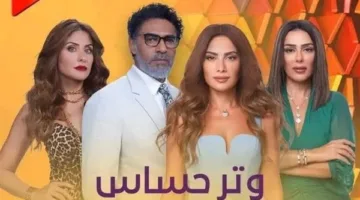 تاريخ عرض مسلسل «وتر حساس 2»