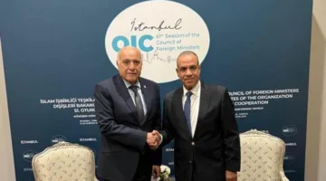 مصر والجزائر تتناولان التوترات الإقليمية ووسائل تعزيز التعاون المشترك