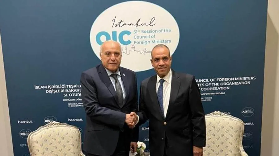 مصر والجزائر تتناولان التوترات الإقليمية ووسائل تعزيز التعاون المشترك مصر والجزائر تتناولان التوترات الإقليمية ووسائل تعزيز التعاون المشترك