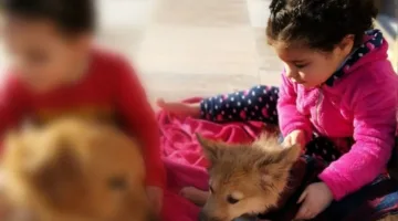 غادروا قبل أن يحققوا أحلامهم.. الصور الأولى للصغار ضحايا “فيلا الشروق”