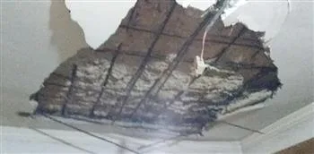 طلاب كلية الهندسة في الإسكندرية يوجهون طلبًا لرئيس الوزراء حول تغيير مكان الامتحانات.