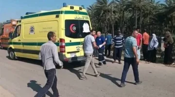 ضحيتان غريقان: طفلان يلجآن إلى ماء ترعة في حوش عيسى للهرب من الحر