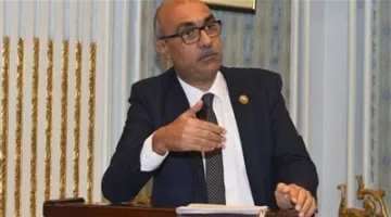 قرار متأخر منذ عامين: طلب إحاطة حول تأخير إضافة المواليد إلى بطاقات التموين لمستحقي تكافل وكرامة