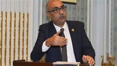 قرار متأخر منذ عامين: طلب إحاطة حول تأخير إضافة المواليد إلى بطاقات التموين لمستحقي تكافل وكرامة