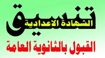 تنسيق الثانوية العامة لعام 2025 في عشر محافظات