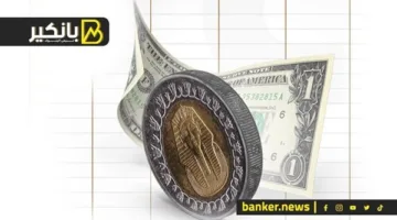 تحول كبير في أزمة الدولار.. الحكومة تتخذ خطوات إيجابية أخيراً