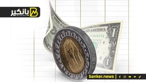 تحول كبير في أزمة الدولار.. الحكومة تتخذ خطوات إيجابية أخيراً تحول كبير في أزمة الدولار.. الحكومة تتخذ خطوات إيجابية أخيراً