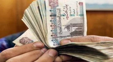 في حال اتخاذهم هذا الإجراء، حائزو المخلفات معرضون لغرامة تصل إلى 20 ألف جنيه
