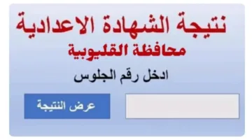 نتائج الشهادة الإعدادية لمحافظة القليوبية للفصل الدراسي الثاني 2025: رابط الاستعلام وإجراءات معرفة النتيجة
