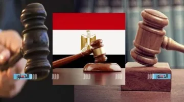 أحداث اليوم في محاكم القاهرة والجيزة: إصدار الحكم في قضية ليلى الشبح واستئناف محاكمة هتك عرض الطفل ياسين
