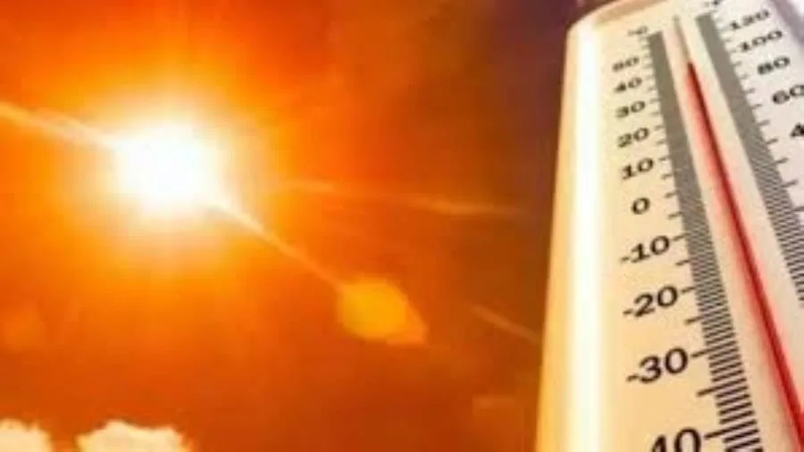 حالة الطقس اليوم: حرارة مرتفعة ورطوبة عالية، والعظمى في القاهرة تبلغ 35 درجة. حالة الطقس اليوم: حرارة مرتفعة ورطوبة عالية، والعظمى في القاهرة تبلغ 35 درجة.