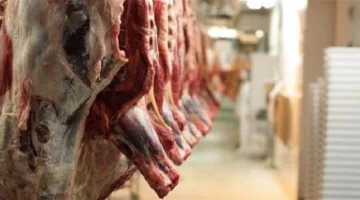 “بلا تسجيل أي حالات فساد”: القضارف تنفذ أكبر حملة لتوزيع لحوم الأضاحي