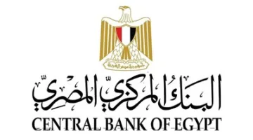 البنك المركزي: تحويلات المصريين في الخارج تصل إلى 29.4 مليار دولار خلال العشرة أشهر الأولى من عام 2024/2025