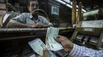 تحويلات المغتربين المصريين تصل إلى أعلى معدل في التاريخ.. ما السبب وراء ذلك؟