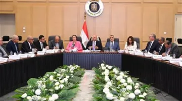 كامل الوزير: إنشاء لجنة صغيرة تشمل جميع الأطراف المعنية لمواجهة محاولات التهرب من الجمارك