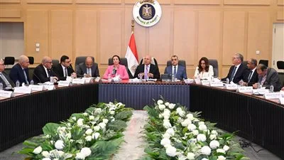 كامل الوزير: إنشاء لجنة صغيرة تشمل جميع الأطراف المعنية لمواجهة محاولات التهرب من الجمارك كامل الوزير: إنشاء لجنة صغيرة تشمل جميع الأطراف المعنية لمواجهة محاولات التهرب من الجمارك