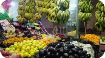 استكشف أسعار الفواكه في محافظة الإسكندرية