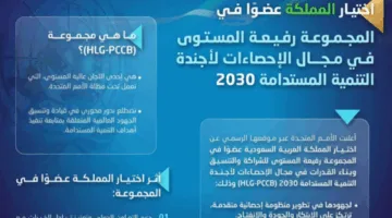 اختيار المملكة كعضو في المجموعة الرفيعة المستوى للإحصائيات لأجندة التنمية المستدامة 2030