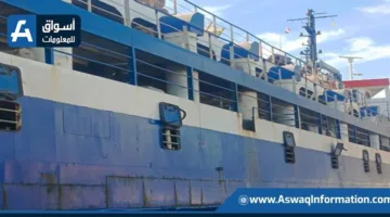 ميناء سفاجا يستقبل 1057 رأس من العجول من جيبوتي لصالح “الهيئة الوطنية للخدمات”