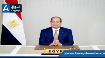 الرئيس السيسي: مصر تدعم دور الأمم المتحدة الأساسي في تعزيز التنمية المستدامة