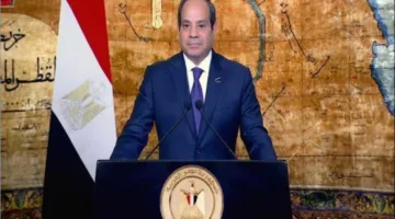 كلمة الرئيس السيسي بمناسبة الاحتفال بذكرى تأسيس الأمم المتحدة