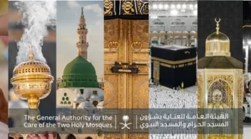 خدمات متميزة تقدمها إدارة الحرمين لكبار السن وذوي الاحتياجات الخاصة في المسجد النبوي