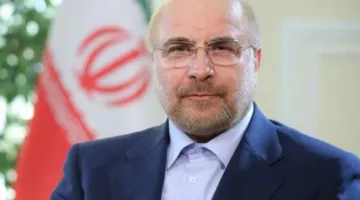 رئيس البرلمان يتحدث عن احتمال إيران تعليق تعاونها مع الوكالة الدولية للطاقة النووية.