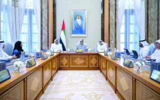 برئاسة منصور بن زايد.. “اللجنة الوزارية للتنمية” تستعرض تنفيذ البرامج والمبادرات الحكومية.