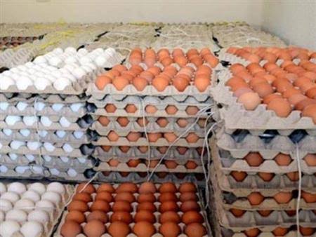 Image of egg prices