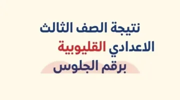 نتائج الشهادة الإعدادية في القليوبية برقم الجلوس: كيفية الاستعلام ورابط النتائج