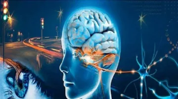 هل يؤثر الذكاء الاصطناعي على الابتكار والذاكرة؟