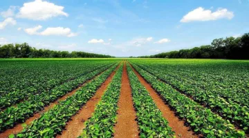 الش Eastern National Food Security تقرر الاستثمار في الأسواق المالية وتفاوض لإتمام ثلاث شراكات