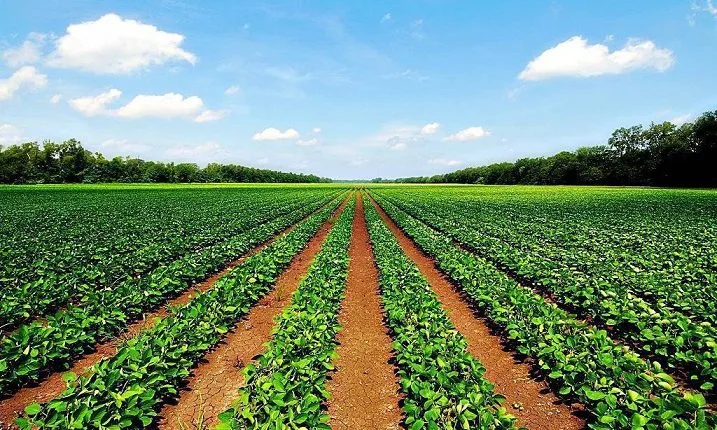 الش Eastern National Food Security تقرر الاستثمار في الأسواق المالية وتفاوض لإتمام ثلاث شراكات الش Eastern National Food Security تقرر الاستثمار في الأسواق المالية وتفاوض لإتمام ثلاث شراكات