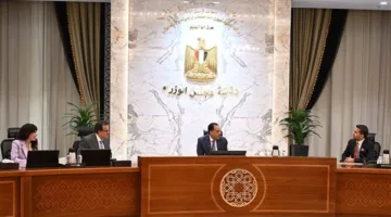 مصر تتفاوض مع “برجيل القابضة” الإماراتية لتعزيز التعاون في مجال زراعة النخاع وتطوير السياحة العلاجية.