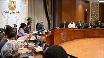 مصر تتعاون مع شركة برجيل الإماراتية لإدارة وتشغيل قسم زراعة النخاع في مستشفى زايد التخصصي.
