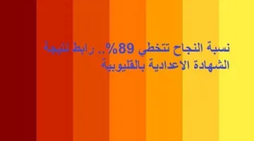 نسبة النجاح تتجاوز 89%.. رابط نتائج الشهادة الإعدادية في القليوبية
