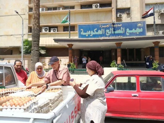 إطلاق نقاط بيع متنقلة لبيع البيض البلدي والأسماك بأسعار منخفضة (التفاصيل)