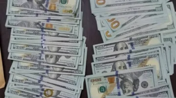 الدولار ينخفض بنسبة 1.4% مقابل الجنيه المصري نتيجة تراجع الطلب على العملات الأجنبية