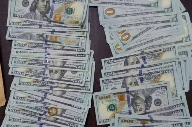 الدولار ينخفض بنسبة 1.4% مقابل الجنيه المصري نتيجة تراجع الطلب على العملات الأجنبية