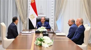 السيسي يُشرف على تنفيذ استراتيجية تحسين الكهرباء والطاقة المتجددة ويُشدد على ضرورة زيادة الاستثمارات وتوطين الصناعة.