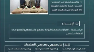 حرس الحدود في جازان يعتقل أربعة متهمين بانتهاك نظام أمن الحدود لقيامهم بتهريب 80 كيلوجرامًا من نبات القات المخدر.