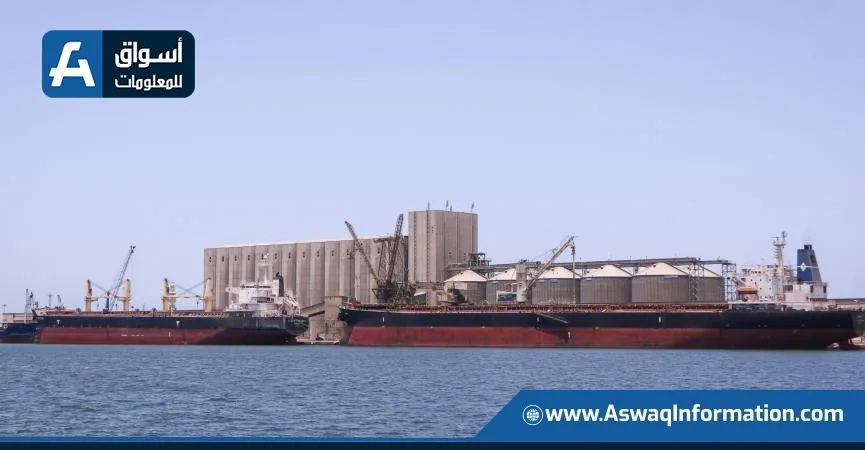ميناء دمياط يستقبل 31.3 ألف طن من القمح الأوكراني لصالح الحكومة