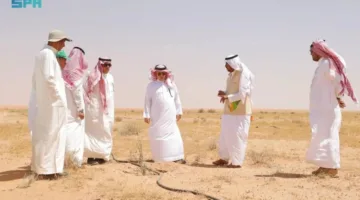الرئيس التنفيذي للغابات يزور روضة السبلة
