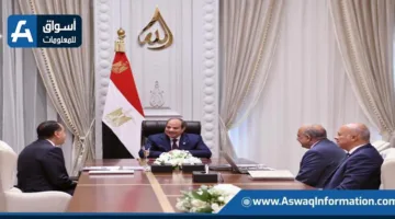 الرئيس السيسي يشدد على أهمية تعزيز الجهود الحكومية لاستقطاب الاستثمارات في قطاع الطاقة المتجددة.