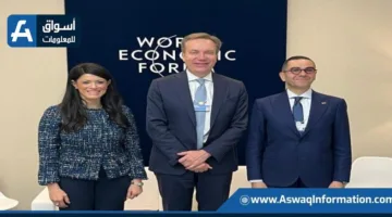 وزيرة التخطيط: نسعى لتوجيه الاقتصاد المصري نحو القطاعات القابلة للتصدير والتداول.