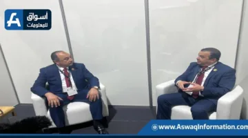 مصر والجزائر تستكشفان سبل التعاون في مجالات الصناعات الكيميائية والبتروكيماوية