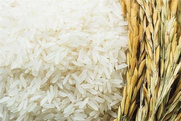 سعر كيلو الأرز الشعير في الأسواق اليوم الثلاثاء 24 يونيو 2025 سعر كيلو الأرز الشعير في الأسواق اليوم الثلاثاء 24 يونيو 2025
