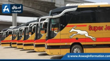“سوبر جيت” تكشف عن مسارات جديدة لتسهيل تنقل المواطنين.