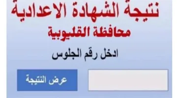نتيجة الشهادة الإعدادية للدور الأول في القليوبية متاحة الآن بالاسم ورقم الجلوس.